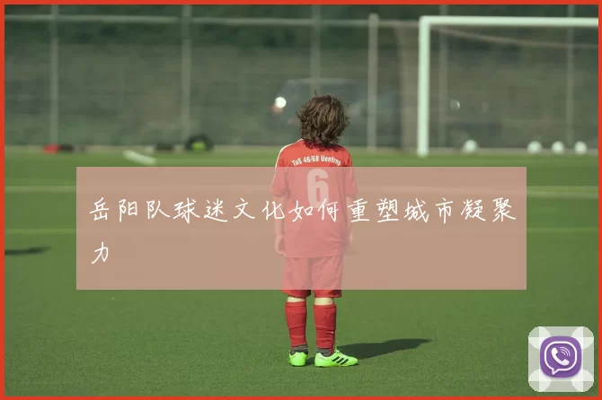 岳阳队球迷文化如何重塑城市凝聚力