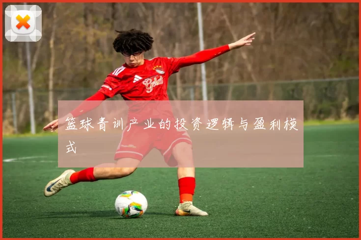 篮球青训产业的投资逻辑与盈利模式
