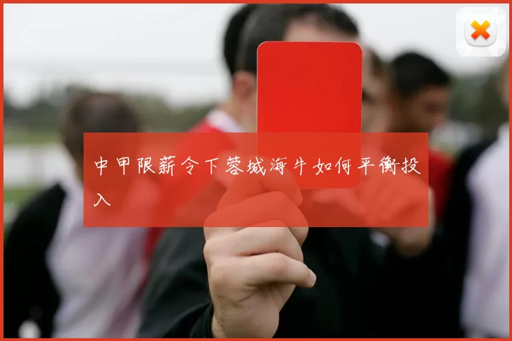 中甲限薪令下蓉城海牛如何平衡投入