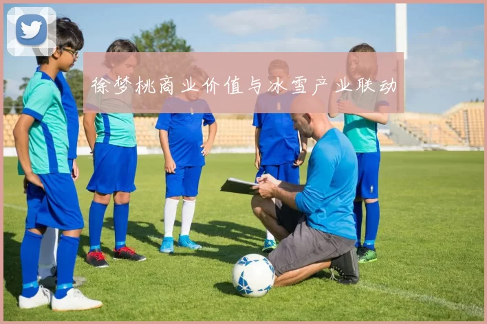 徐梦桃商业价值与冰雪产业联动