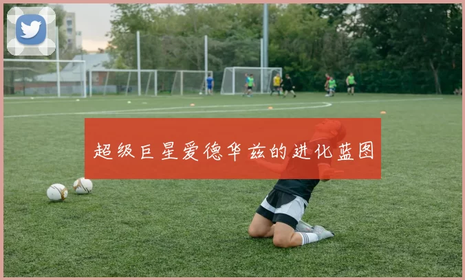 超级巨星爱德华兹的进化蓝图