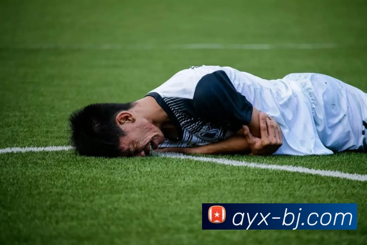 多媒体互动体验